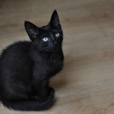 William