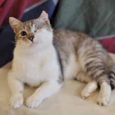 Jean-Pierre