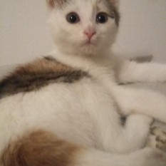 Bonnie