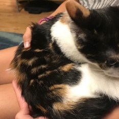 Mimi