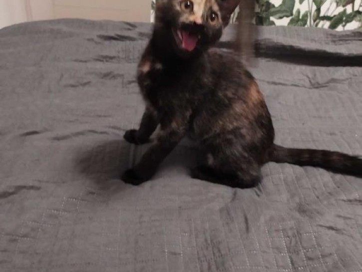 Eska